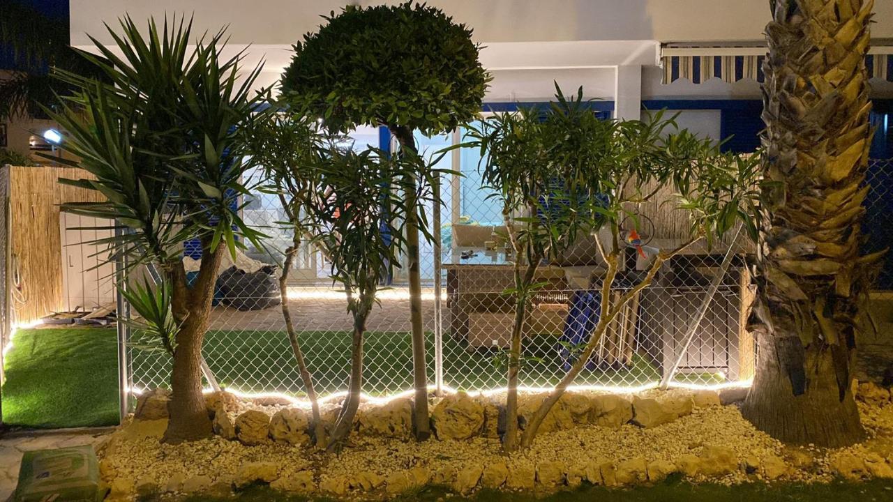 Apartment Palmas De Coco Playa Flamenca Zewnętrze zdjęcie